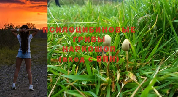 гидра Алзамай