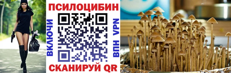 mega ссылка  цены наркотик  Жирновск  Псилоцибиновые грибы мухоморы 